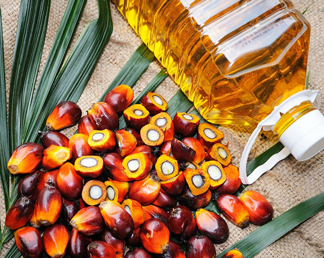 Used Cooking Coconut & Palm Oil